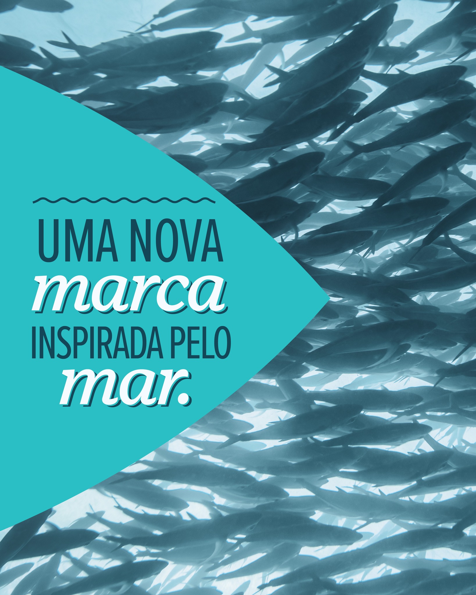 Cardume no mar, fotografia da campanha de identidade da Sabores